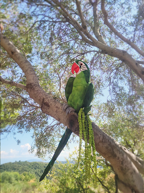 Tropical βάπτιση!